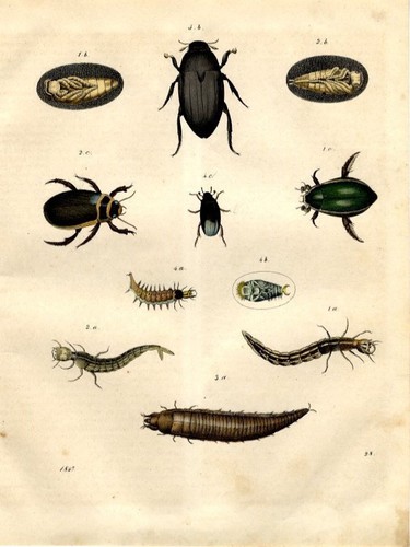 1847 buch der - 1847, welt