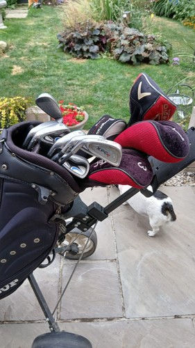 Golf clubs callaway xcp - callaway,