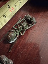 19th Century Bronze Deity