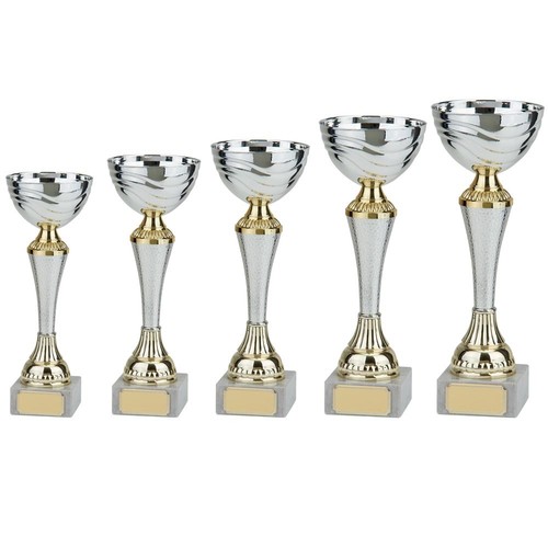 Gold silver trophy award - cup, 6