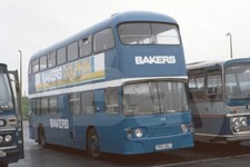 Bus Photo - Bakers Dolphin