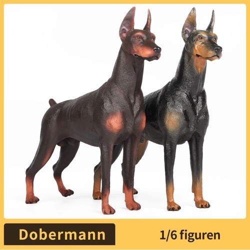 Dobermann figure - 1/6,