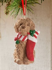 Next Louie Labradoodle