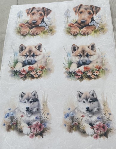 Rice paper for - paper, decoupage