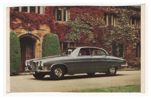 Original jaguar mark - original,