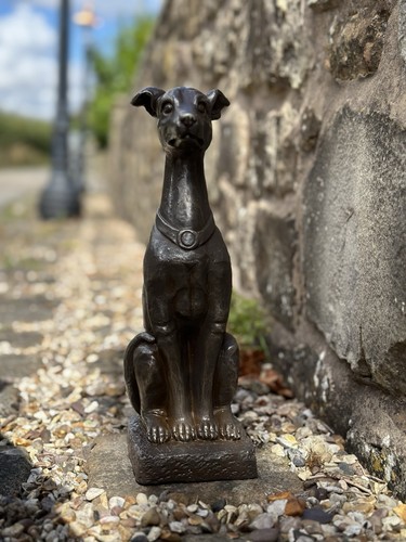 Traditional greyhound dog - traditional,