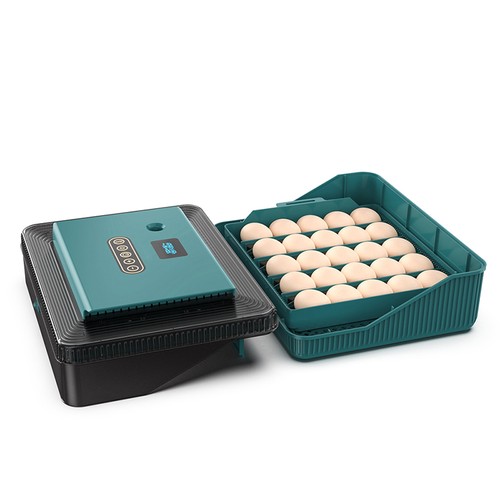 Eggs incubator with - incubator,