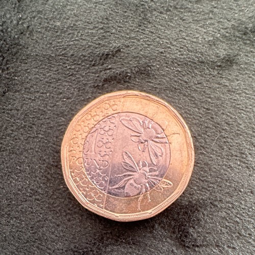 Rare british pound coin - rare,