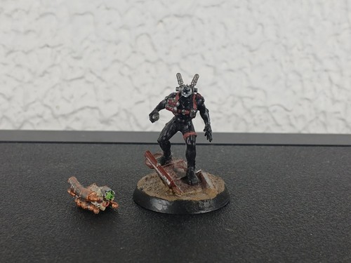 Culexus assassin painted astra - culexus,