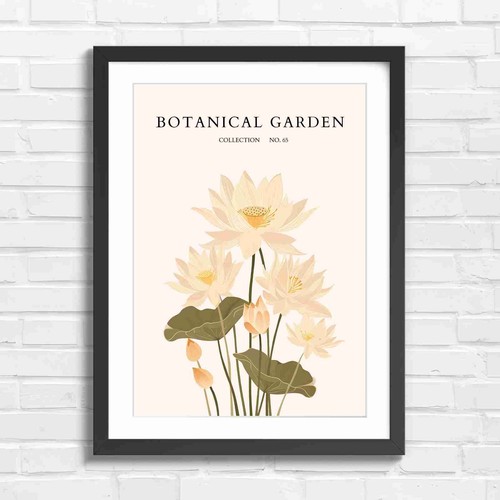 Botanical garden lotus - garden,