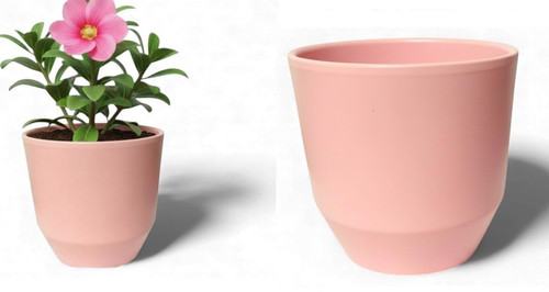 Plant pot ceramic - plant,