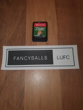 The Legend of Zelda Link's