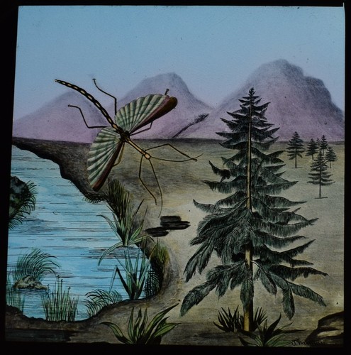 Antique magic lantern slide - antique,