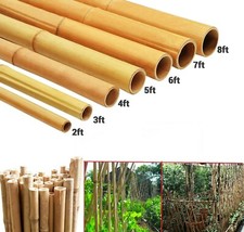 Strong Thick Stake Pole Bamboo Stick Flower Plant Support Garden Canes 2FT-6FT