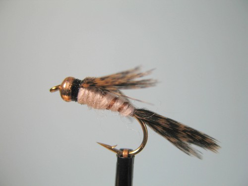 Gold head mayfly nymph - gold, fly