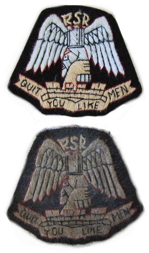 Raiding support regiment - raiding,