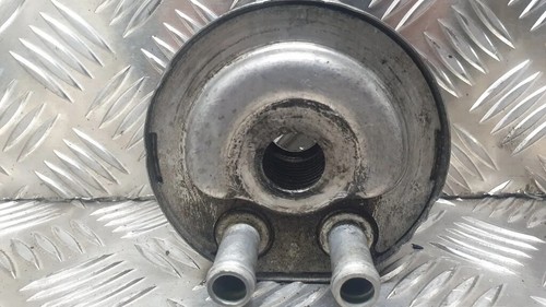 Nissan primera p12 oil - nissan,