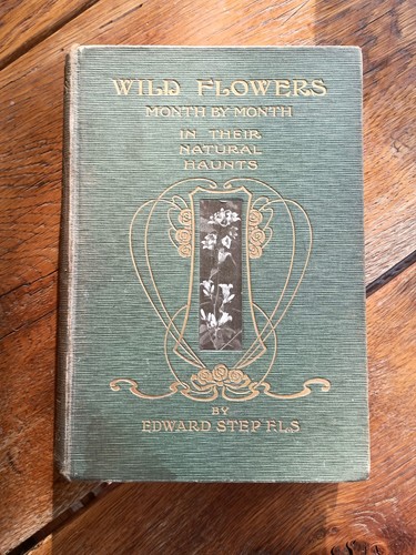 Wild flowers month - month, in