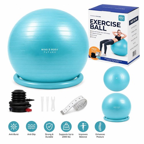 65cm exercise ball swiss - 65cm, gym