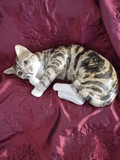 Rare Winstanley Cat Size 5 Glass Eyes