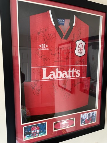 1994 nottingham forest - 1994/95,
