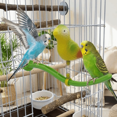 Bird perch stand spring - bird, stand,