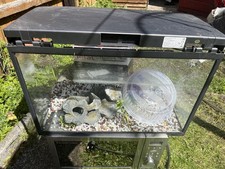 Love fish litre - fish, panorama