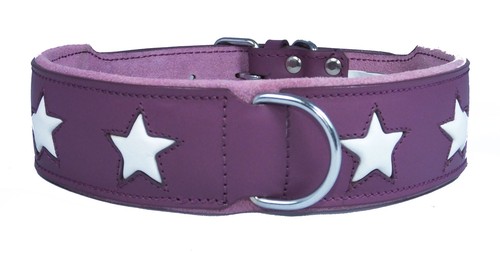 Purple leather dog collar - purple,