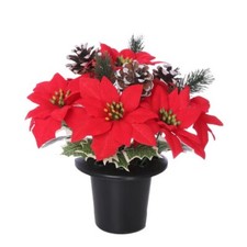 Christmas Red Poinsettia