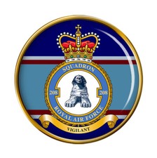 208 squadron raf pin badge - 208,