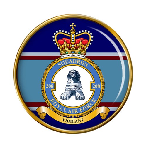 208 squadron raf pin - squadron,, badge