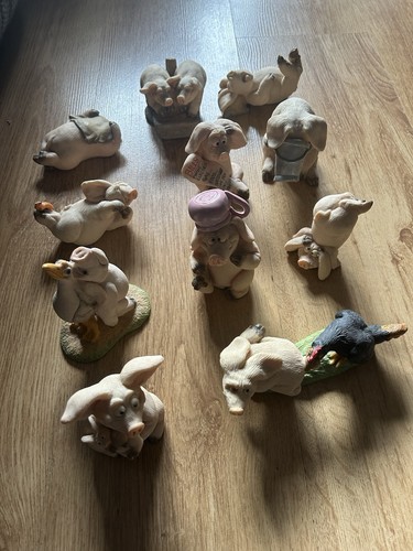 Piggin competitive 1994 - piggin’,
