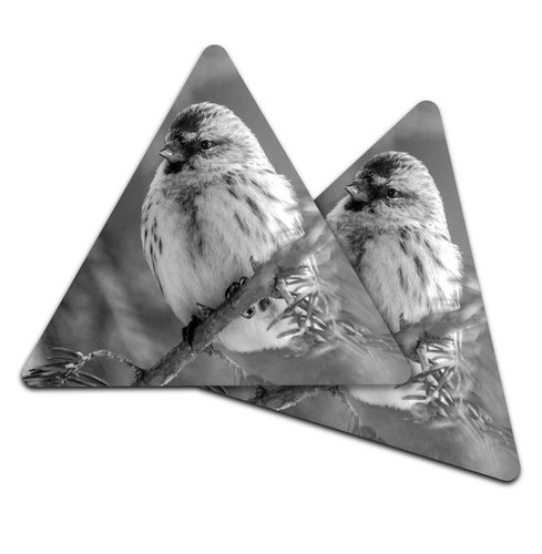 Triangle coaster bw - triangle,