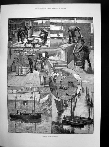 Antique old print cornish - print,