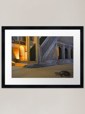 The Cat in the Mosque Framed