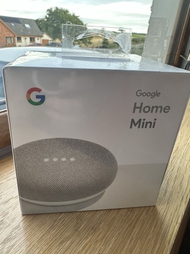 Google home mini 1st - google,