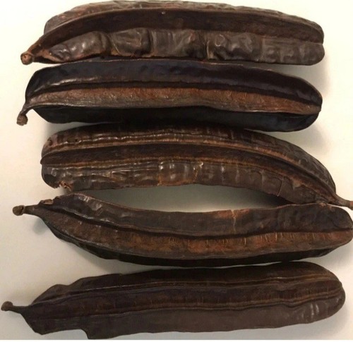 Fresh ghana prekese pods - fresh,