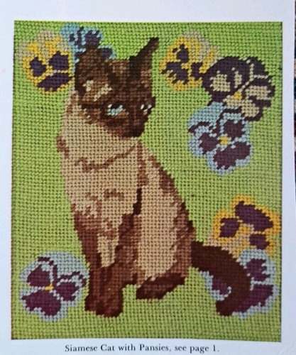 Vintage siamese cat - siamese, with