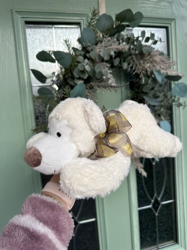 Mouse house laying down polar - mouse,