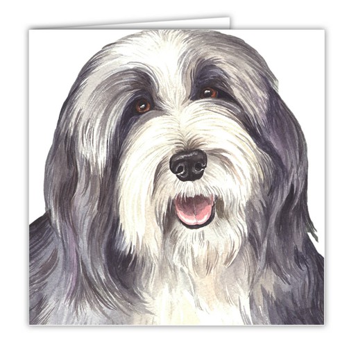 Bearded collie greetings card - collie,