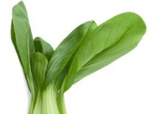 Pak choi vegetables - 3,