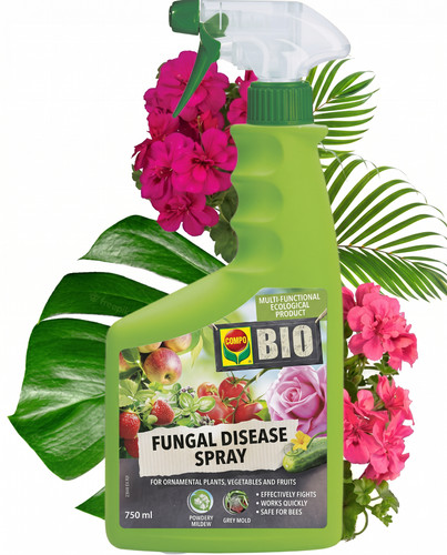 Spray for fungal diseases bio - spray,
