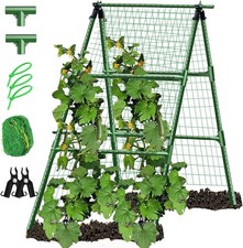 Cucumber Trellis Garden