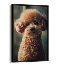 CUTE PORTRAIT OF TOY POODLE PUPPY FLOAT EFFECT FRAME CANVAS ART PIC PRINT
