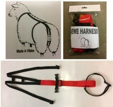 10 Ewe Prolapse Harness Truss