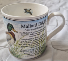 Ashley "Birdwatch" Series Fine Bone China Mug "Mallard Duck"  New Rare