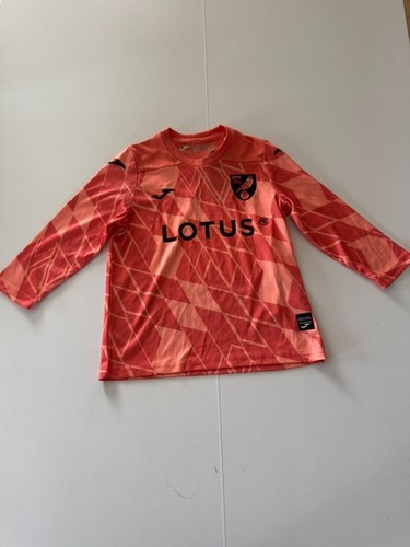 Joma norwich city - norwich,