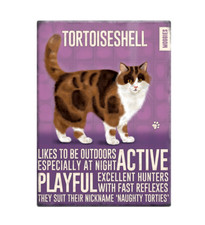 Tortoiseshell Cat Cute Novelty