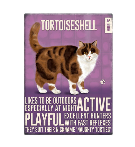 Tortoiseshell cat cute novelty - tortoiseshell,