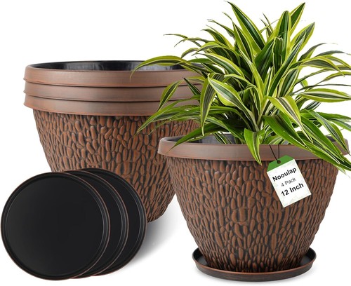 Pack inch pots for plants - 12,